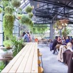 Thiết Kế Quán Cafe Vườn 1