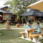 Thiết Kế Quán Cafe Vườn 4