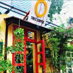 Thiết Kế Quán Cafe Vườn 5