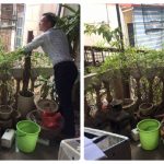 Cải Tạo Nhà Trong Ngõ 5