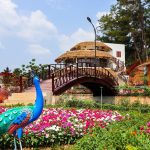 Homestay Mường Sang (3)