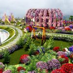 Thiết Kế Cảnh Quan – Homestay Mường Sang (7)